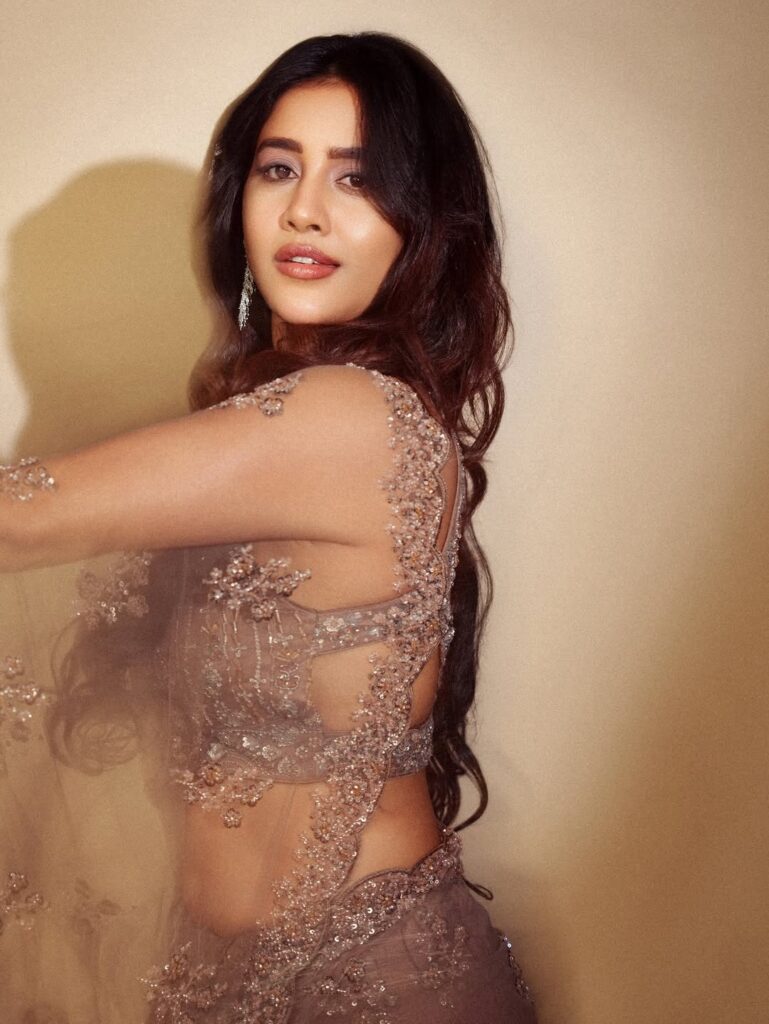 Nabha Natesh wearing a glamorous silver designer lehenga with intricate embroidery, posing elegantly during the Gadar Awards 2026 photoshoot.