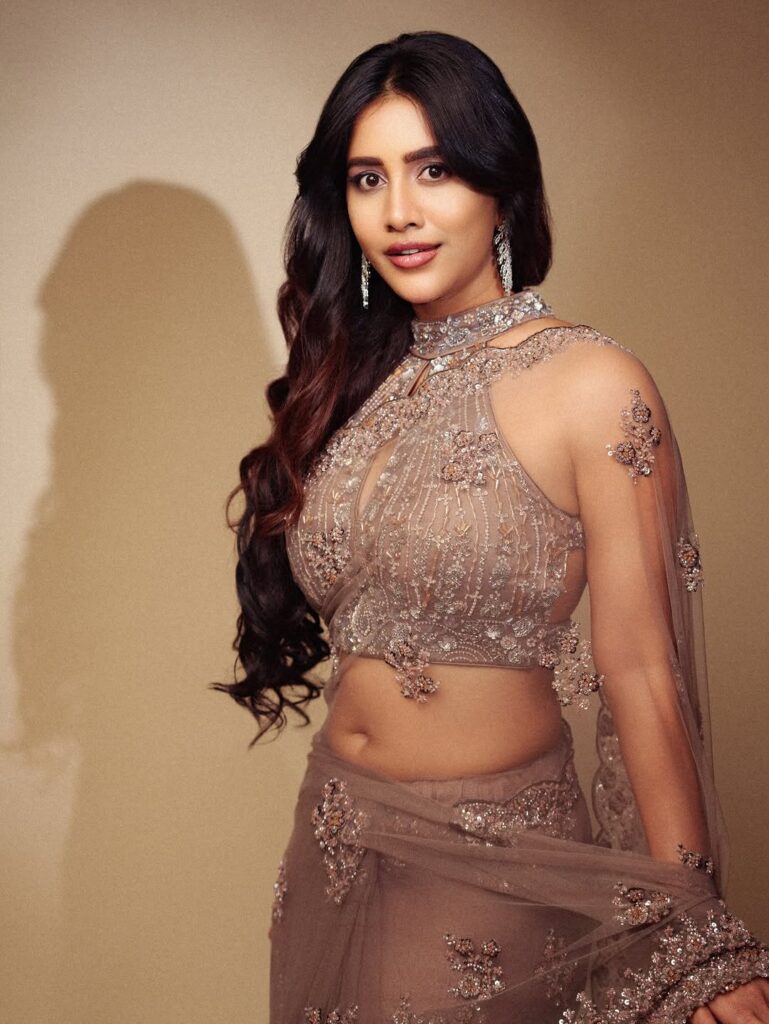 Nabha Natesh wearing a glamorous silver designer lehenga with intricate embroidery, posing elegantly during the Gadar Awards 2026 photoshoot.
