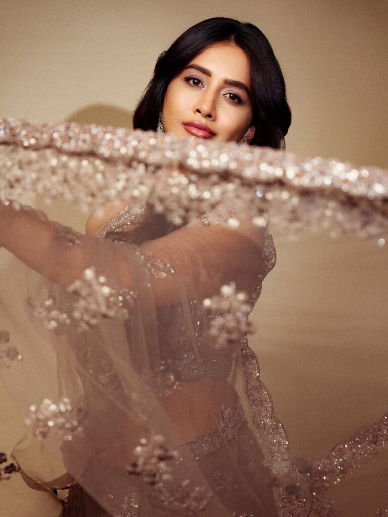 Nabha Natesh wearing a glamorous silver designer lehenga with intricate embroidery, posing elegantly during the Gadar Awards 2026 photoshoot.