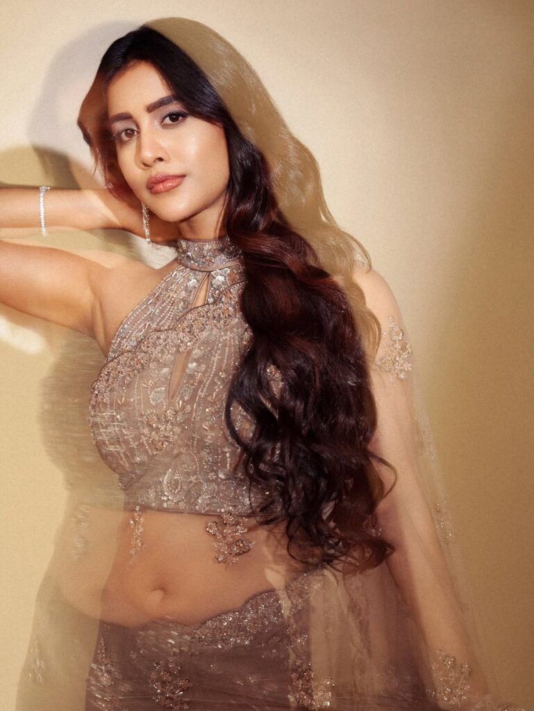 Nabha Natesh wearing a glamorous silver designer lehenga with intricate embroidery, posing elegantly during the Gadar Awards 2026 photoshoot.